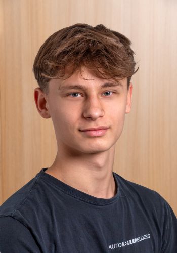 Domenik Manrecaj
